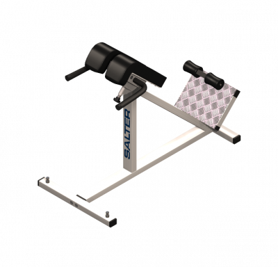 Hyperextension bench 3DS Max model 