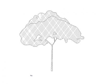 3D Tree - Elevation Revit Family 