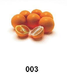 Lebensmittel / Lebensmittel Orange (Max 2009)