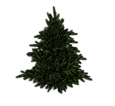 modelo de SketchUp árbol de pino