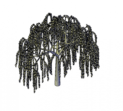 Willow tree 3D DWG block