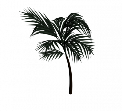 Дерево пальмы 3ds Max модель