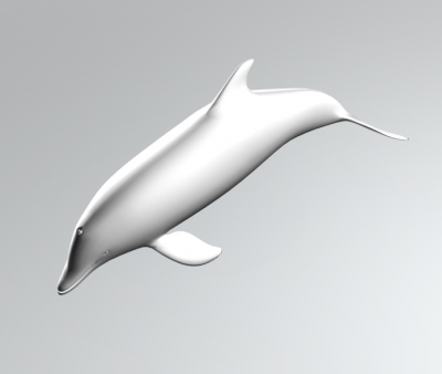 Modello Dolphin 3DS Max