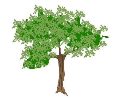dwg árbol Color Elevación CAD