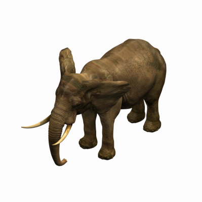 modelo 3D studio max elefante