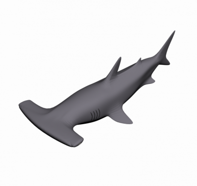 Modelo de tubarão-martelo Max