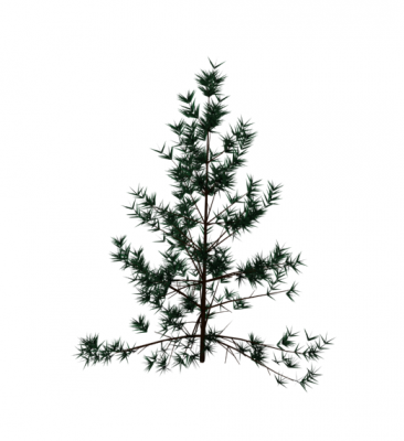 Conifer 3ds arbre bloc max