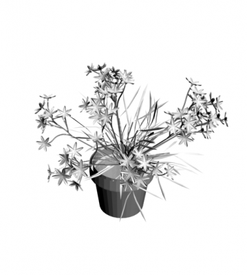 3D最大花卉盆栽模型