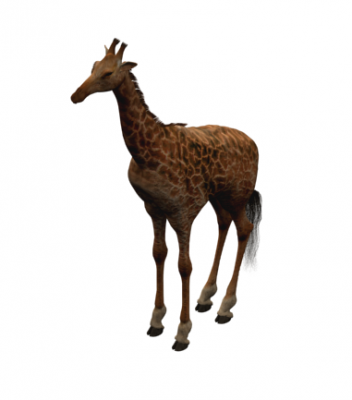 Giraffe 3D MAX Modell