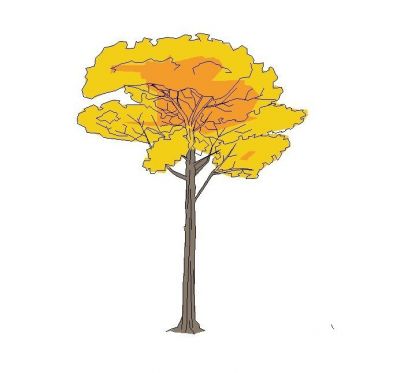 Herbstliche Baum (Free 1)