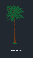 Coconut Tree for Garden 00002 dwg Drawing