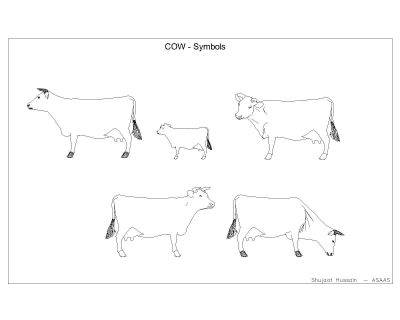 Cows Symbols 002