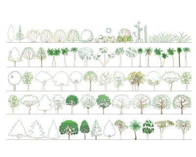 Зеленые деревья и растения разных типов .dwg