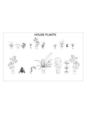 House Plant Symbols_1 .dwg