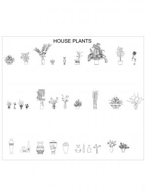 House Plant Symbols_4 .dwg