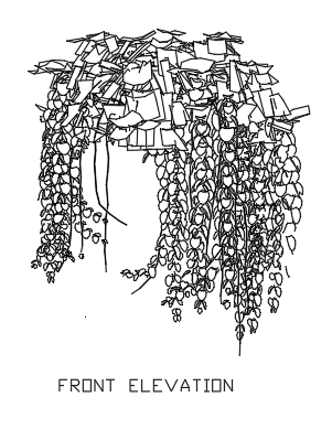 Hanging Plants for Garden 10 dwg Drawing