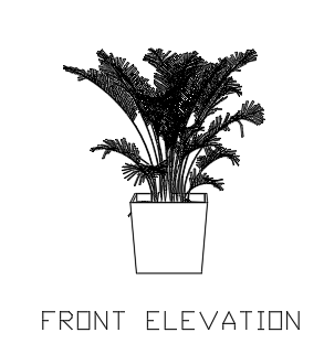 Indoor Plants for Living Room 3 dwg Drawing