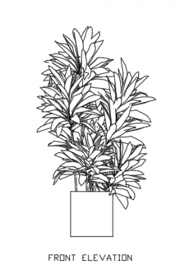 Indoor Plants for Living Room 51 Elevation dwg Drawing