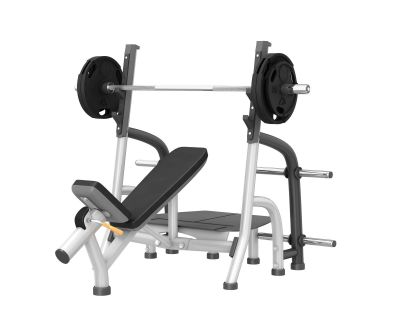Olympic incline bench 3DS Max model & FBX model