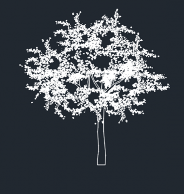 Format DWG de la vue d'élévation de l'arbre