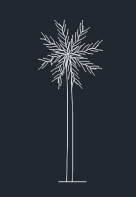 Palm tree elevation view dwg format