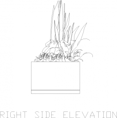 Plant Box for Backyard 2 Elevation dwg Drawing