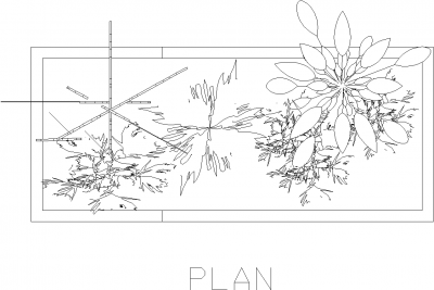 Plant Box for Backyard 4 Plan dwg Drawing