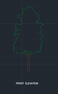 Rowan Tree for Garden 00001 dwg Drawing