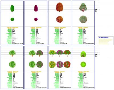 Bloques de arbustos con hojas de datos - Grupo 2
