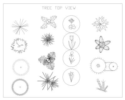 Symboles des arbres_4 .dwg