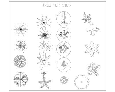Symboles des arbres_5 .dwg