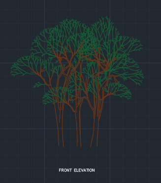 Tree 6 for Garden dwg Drawing