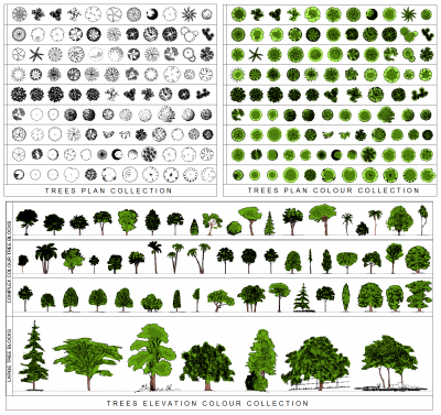 Дерево CAD Коллекции