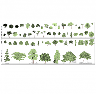 Coleta de transparência de cores de elevação de árvores