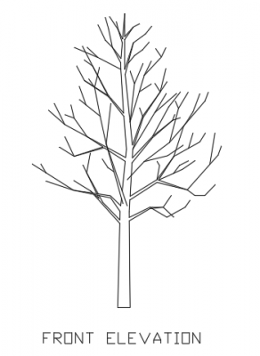 Trees for Landscape 8 Elevation dwg Drawing