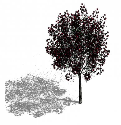 Apple Treeレビットモデル