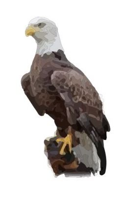 águila dwg dibujo