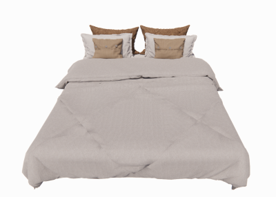 Pillow and cushion with blanket revit family