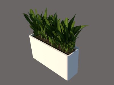Indoor Plant with rectangle Pot free SketchUp Download
